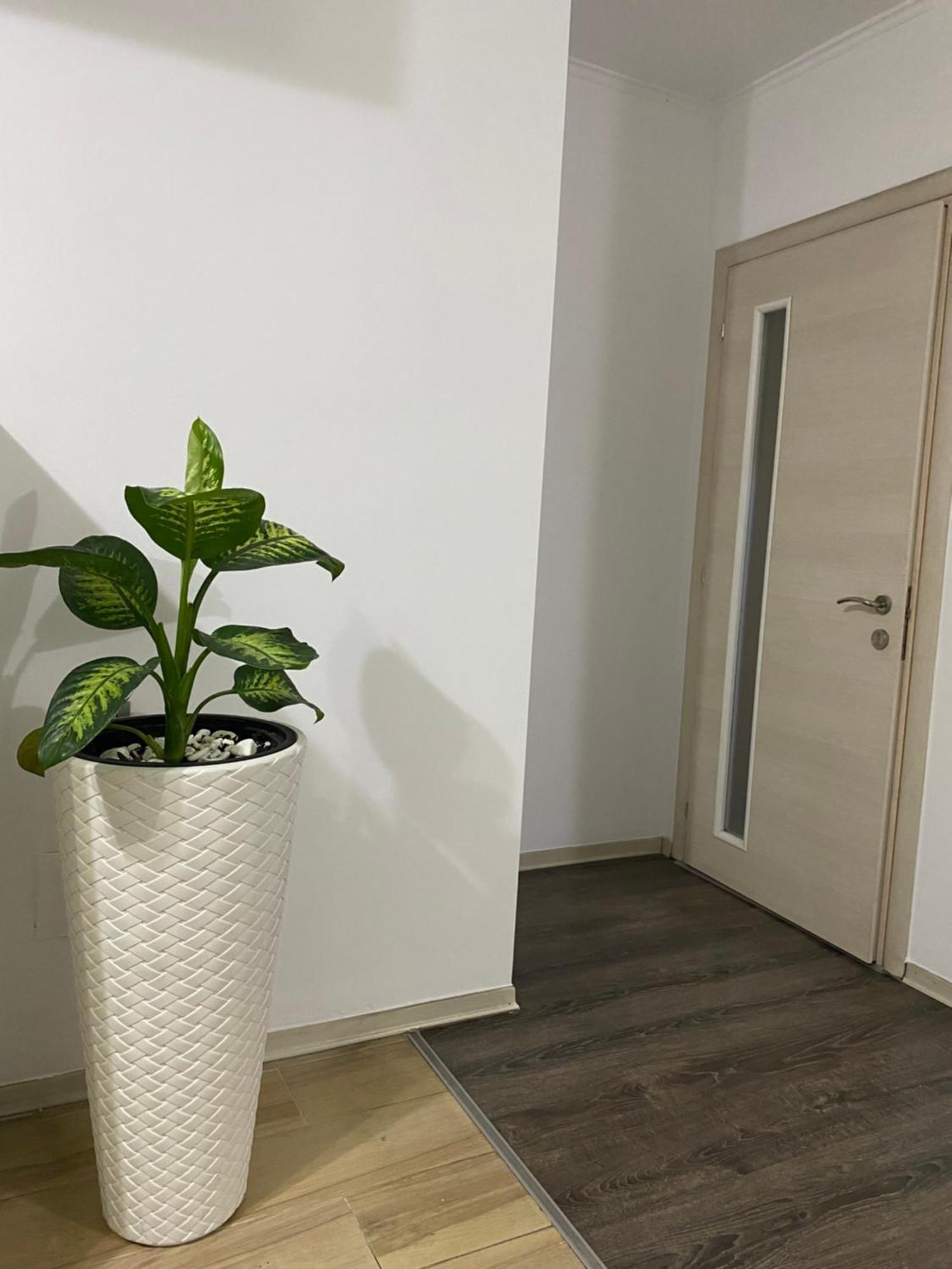 Apartment Main